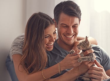 Pet Microchipping in Farmington Hills
