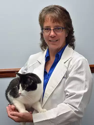Dr. Andrea Zelten